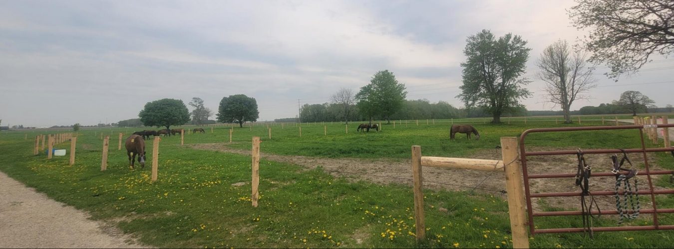Small Private Country Horse Ranch Farm